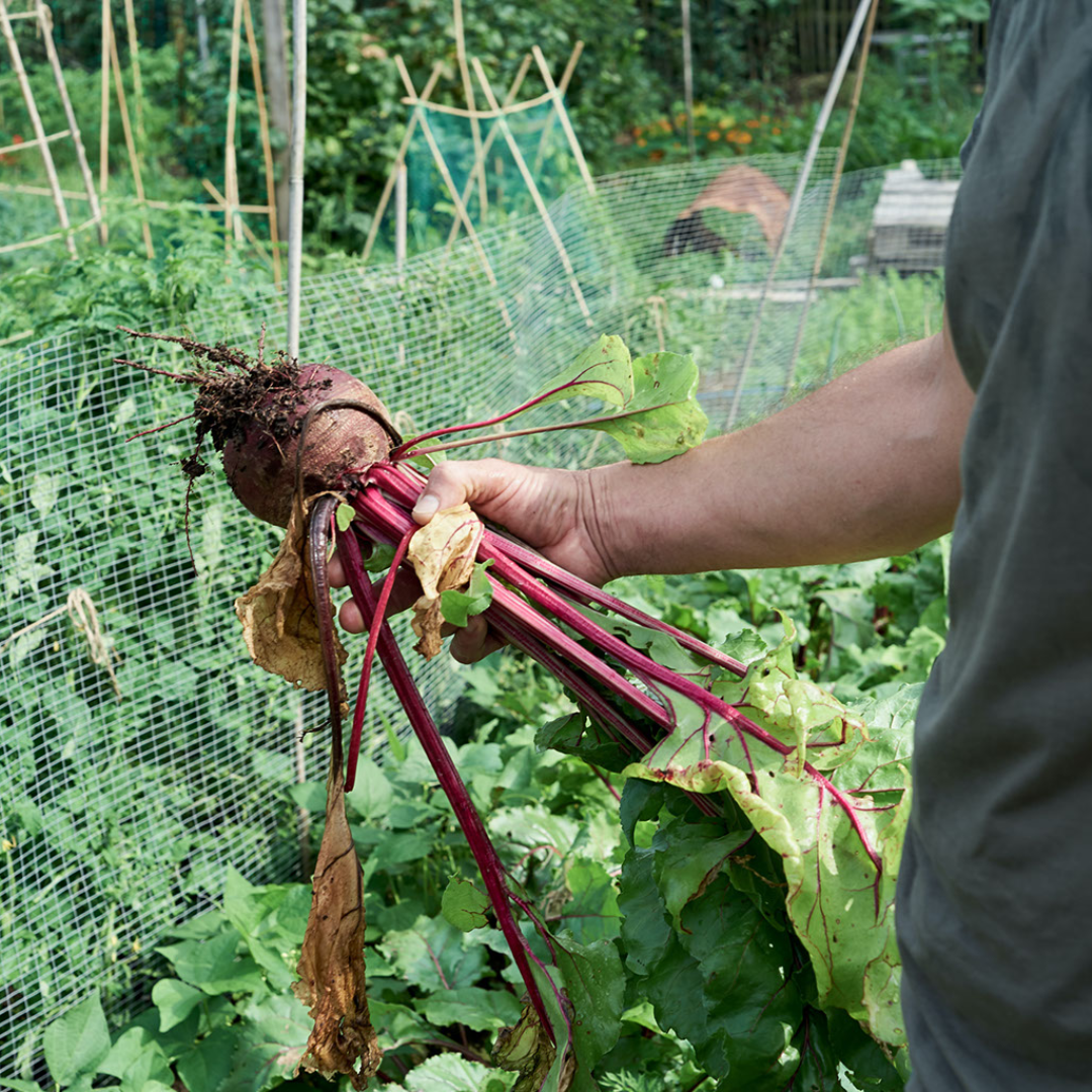 What is Permaculture...to me?