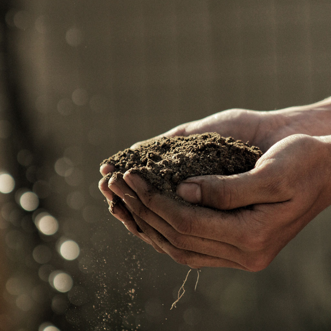 Gardening Basics: an introduction to soil.