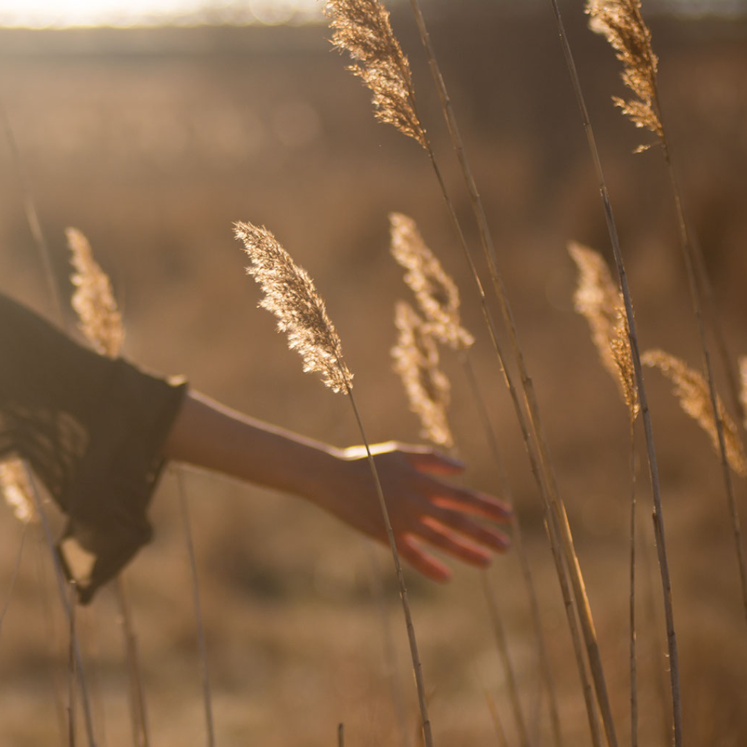 My relationship with Nature